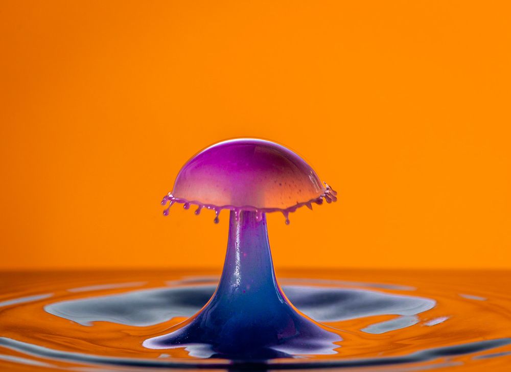 Photograph by Thomas Dunston