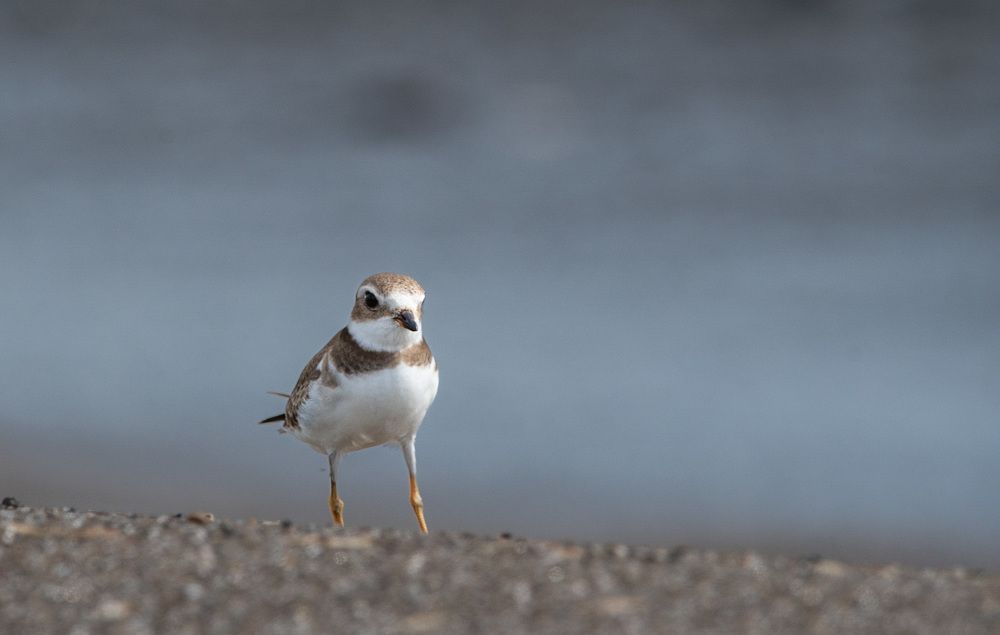 Photograph by Thomas Dunston