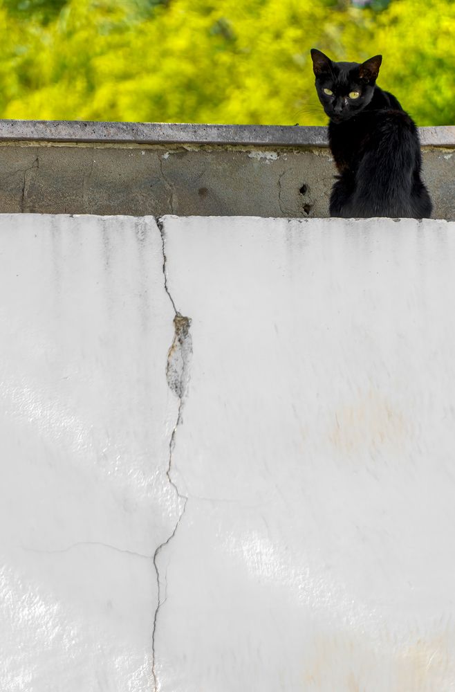 Photograph by Jose Carvalho