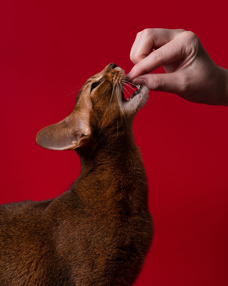 Photograph by Иван Ерохин