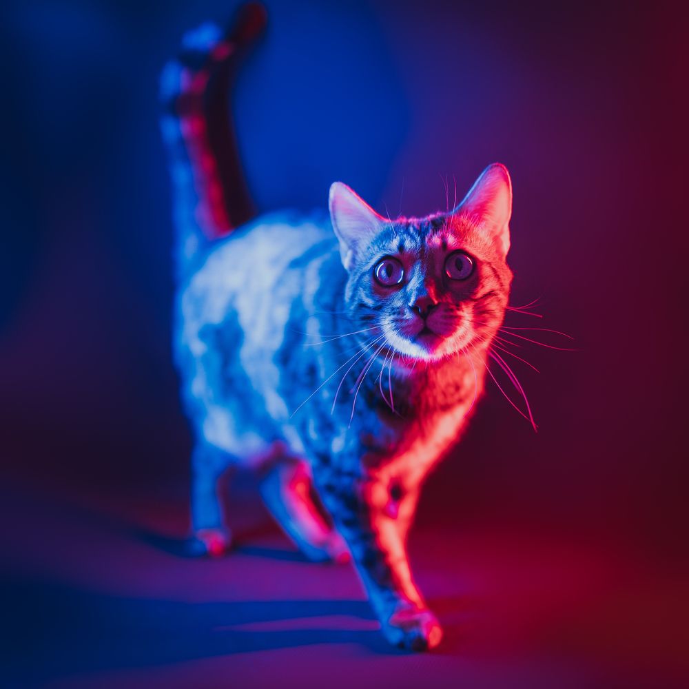 Photograph by Иван Ерохин