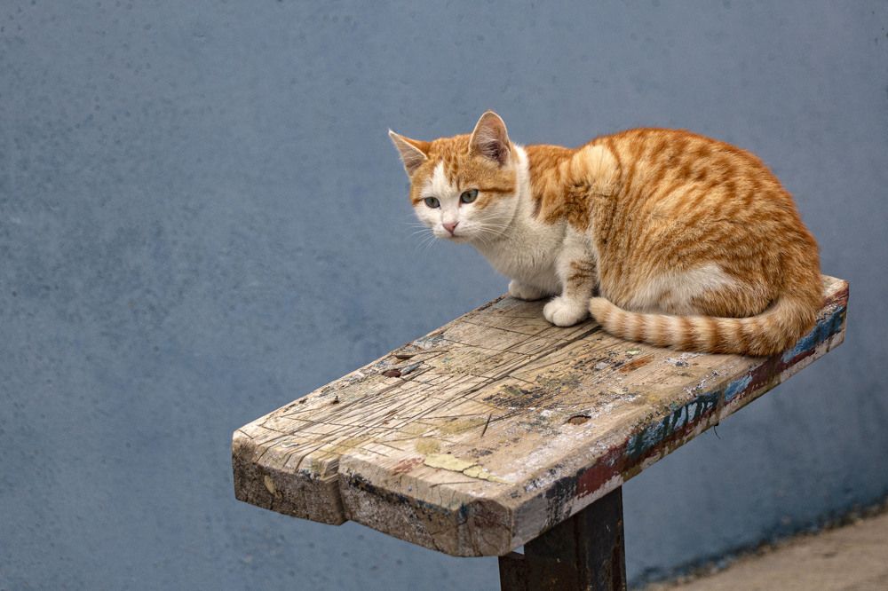 Photograph by Hasan Bayrak