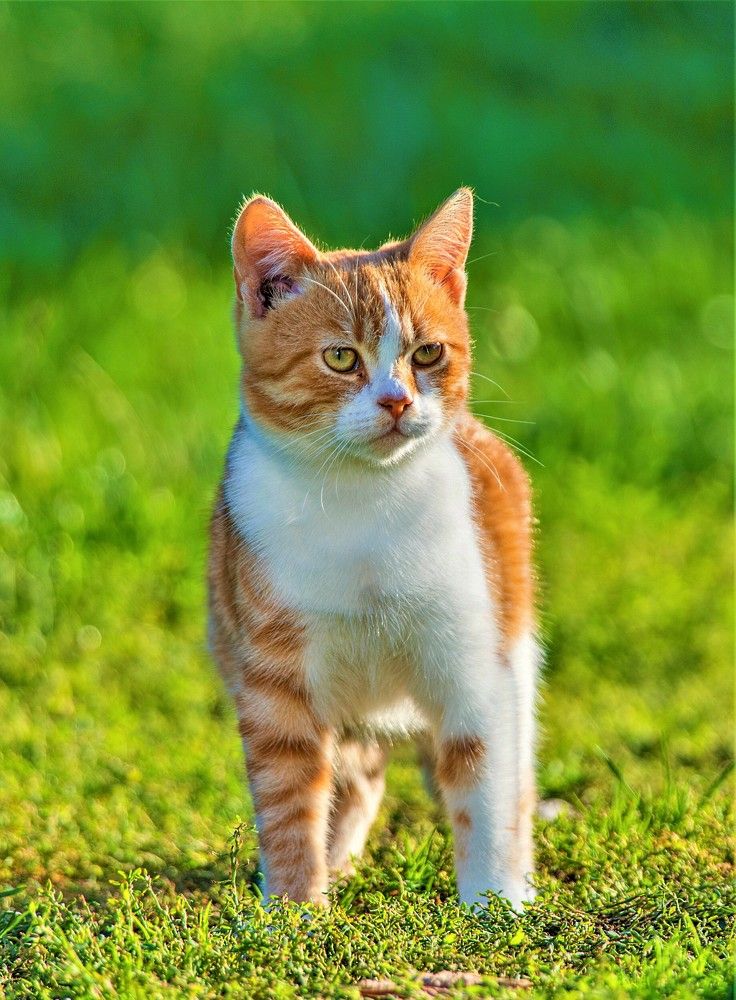 Photograph by Алексей Сиваков