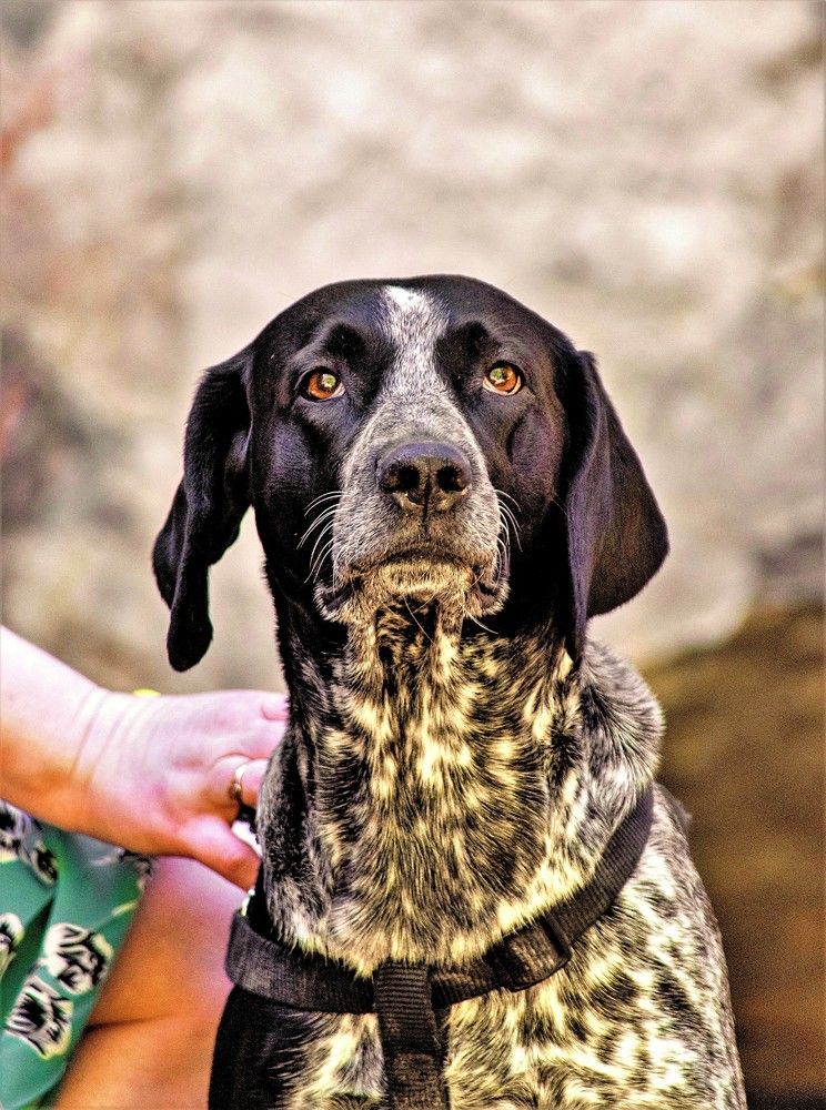 Photograph by Алексей Сиваков