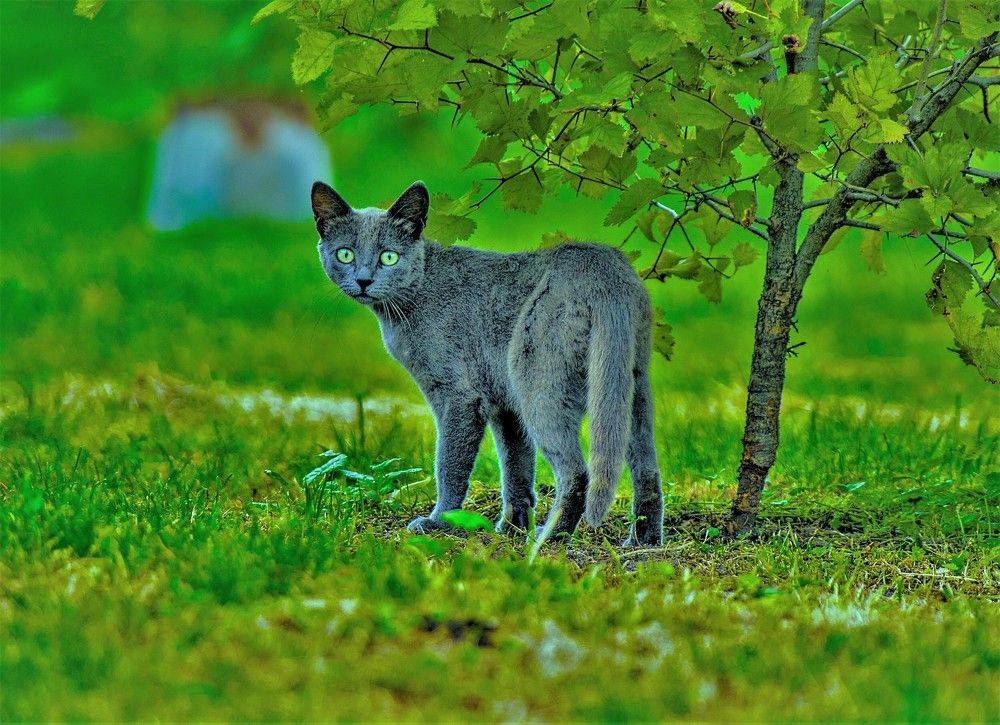 Photograph by Алексей Сиваков