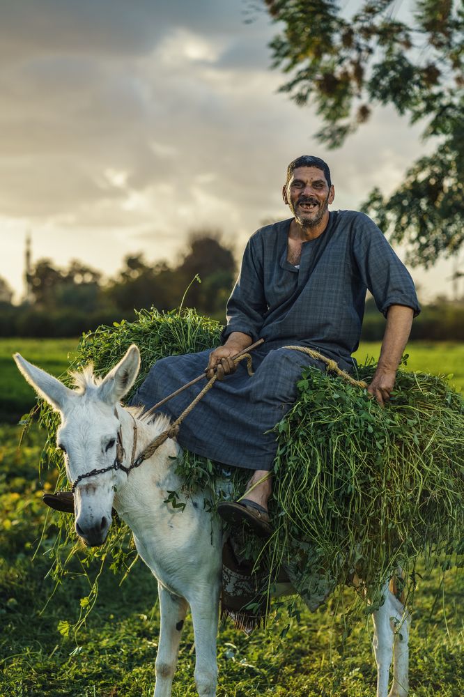 Photograph by mohamed rasta