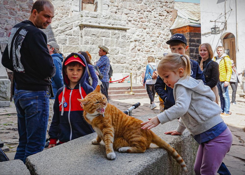 Photograph by Nikitin Igor