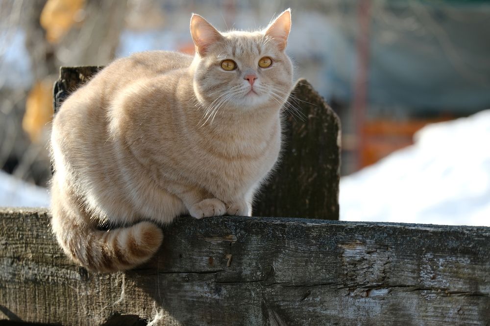 Photograph by Александр Денисов