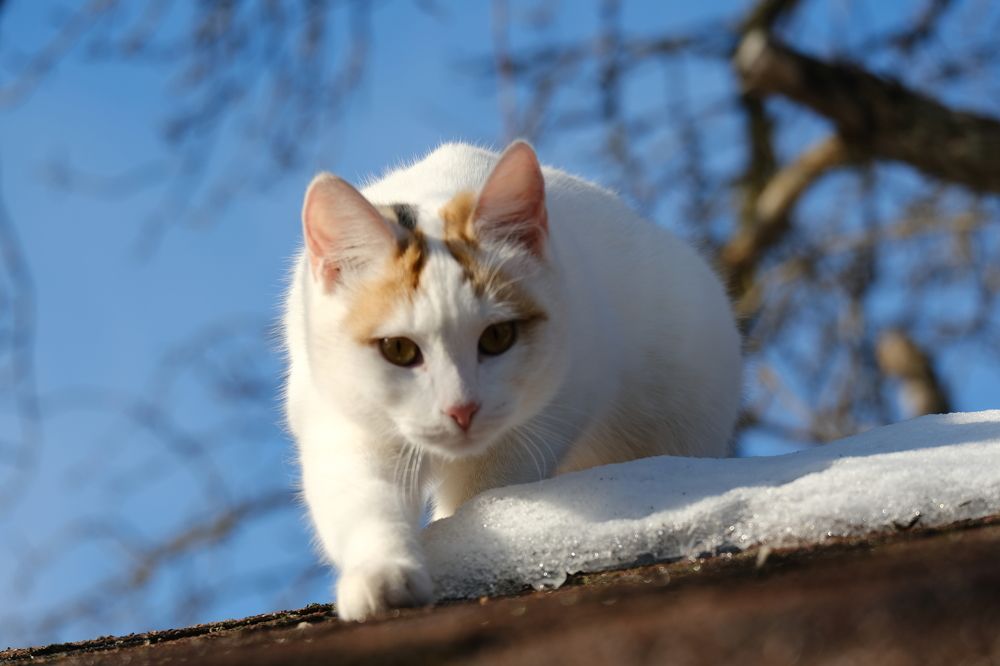 Photograph by Александр Денисов