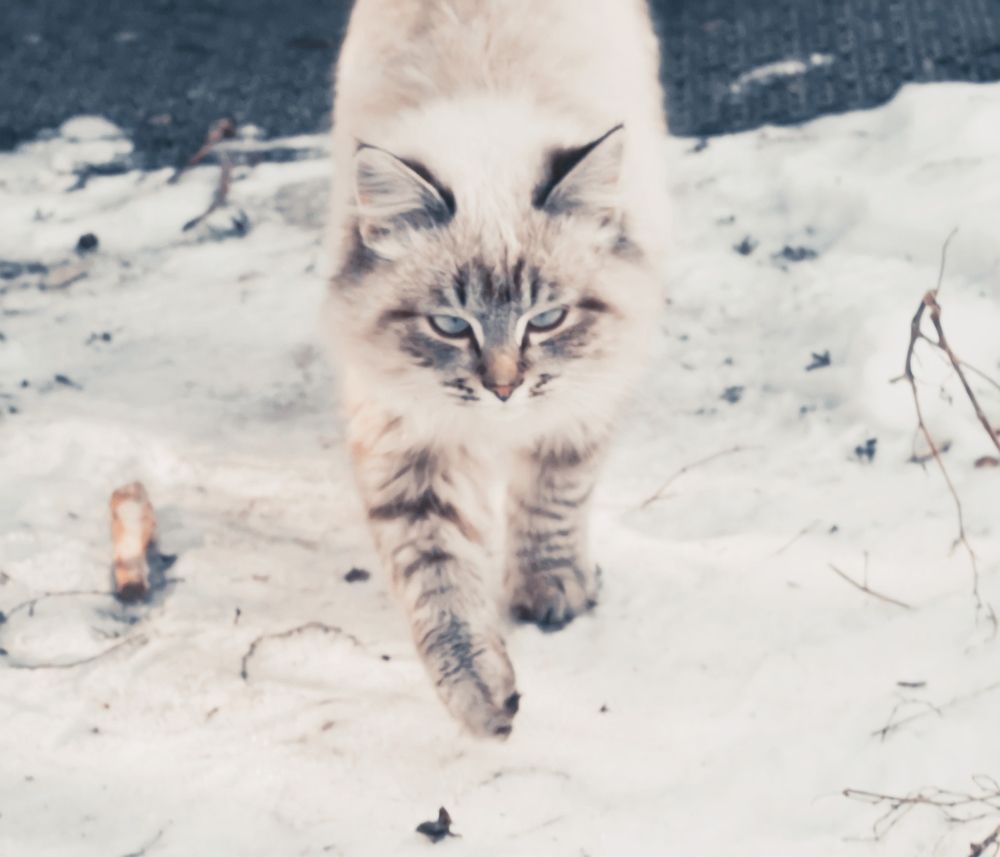 Photograph by Ольга Дмитриева