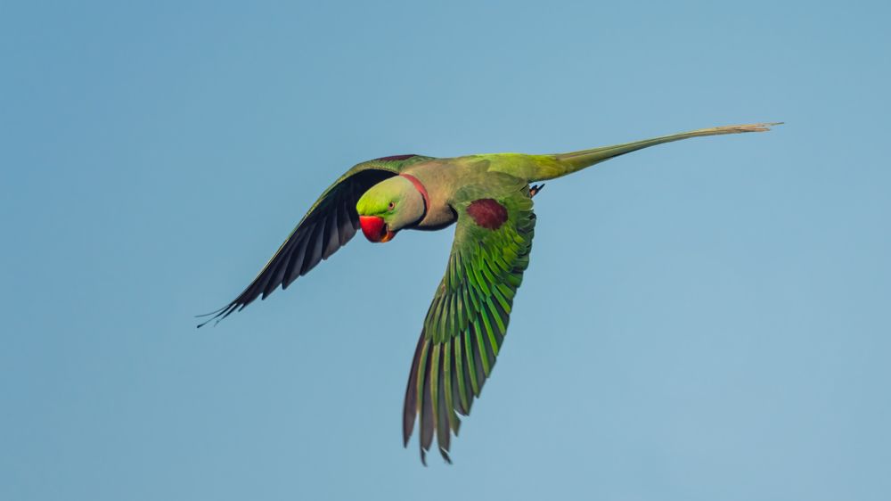 Photograph by Sanjay Anand Mishra