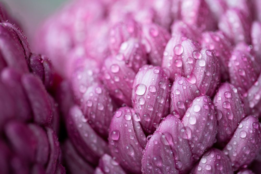 Photograph by Елена