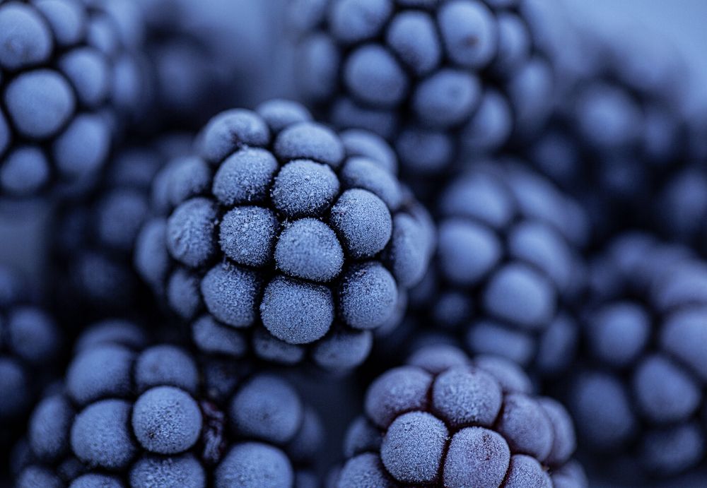 Photograph by Елена