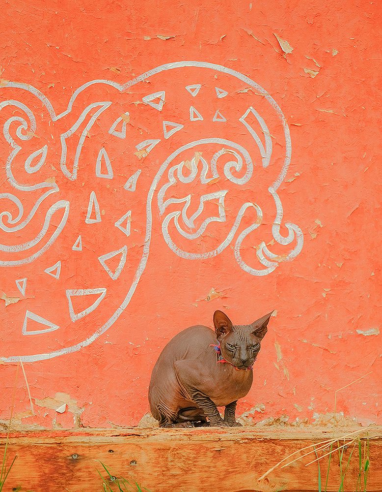 Photograph by Ольга Челдыкова