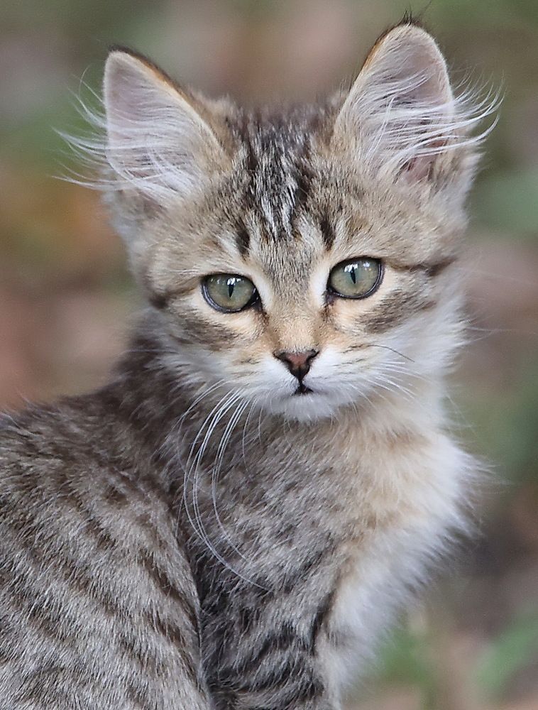 Грустный малыш