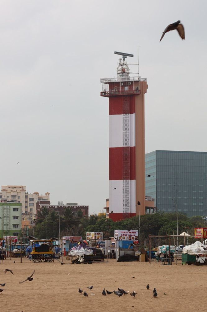 Фотография автора D BHAVARAJ