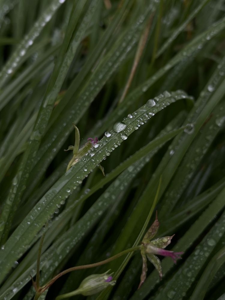 Photograph by Екатерина Дяченко