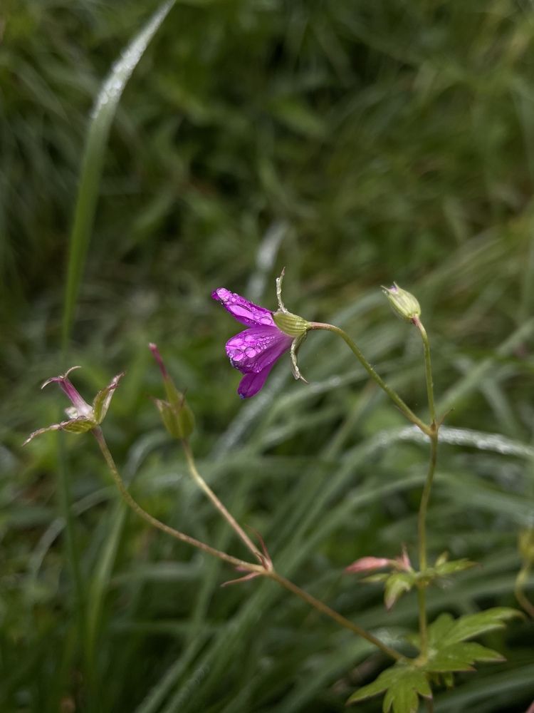 Photograph by Екатерина Дяченко
