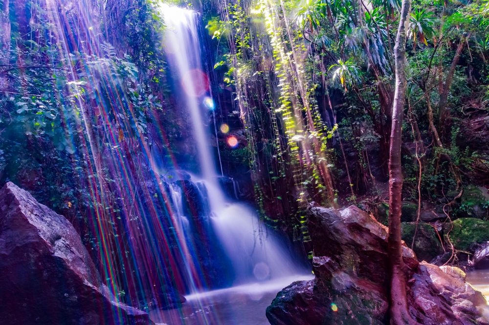 Photograph by Antony Trivet