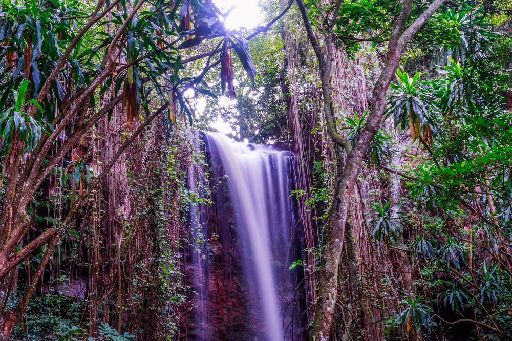 Photograph by Antony Trivet