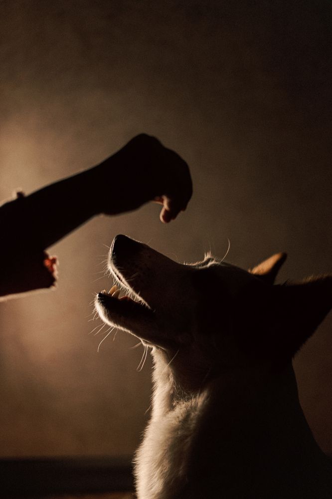 Photograph by Ольга Козыренко