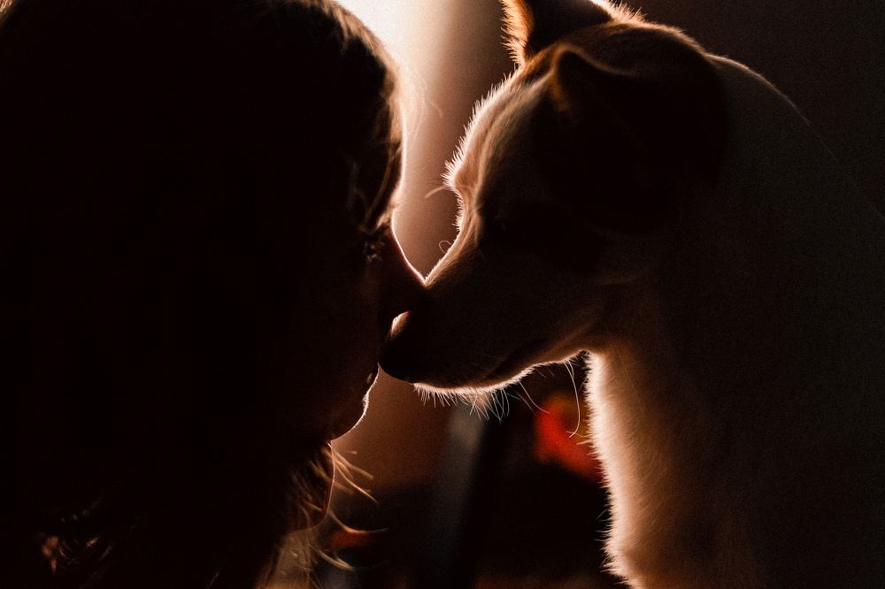 Photograph by Ольга Козыренко