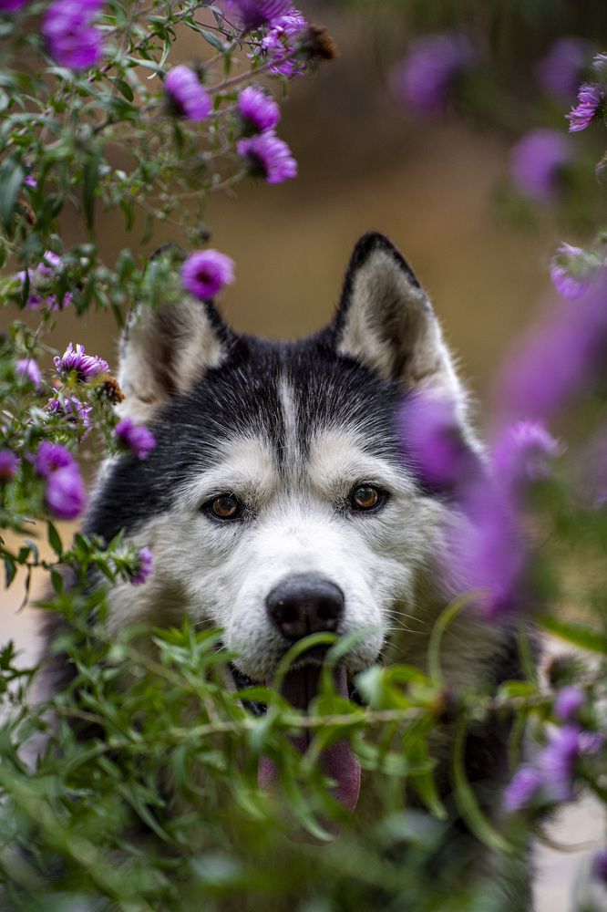 Photograph by Сергей