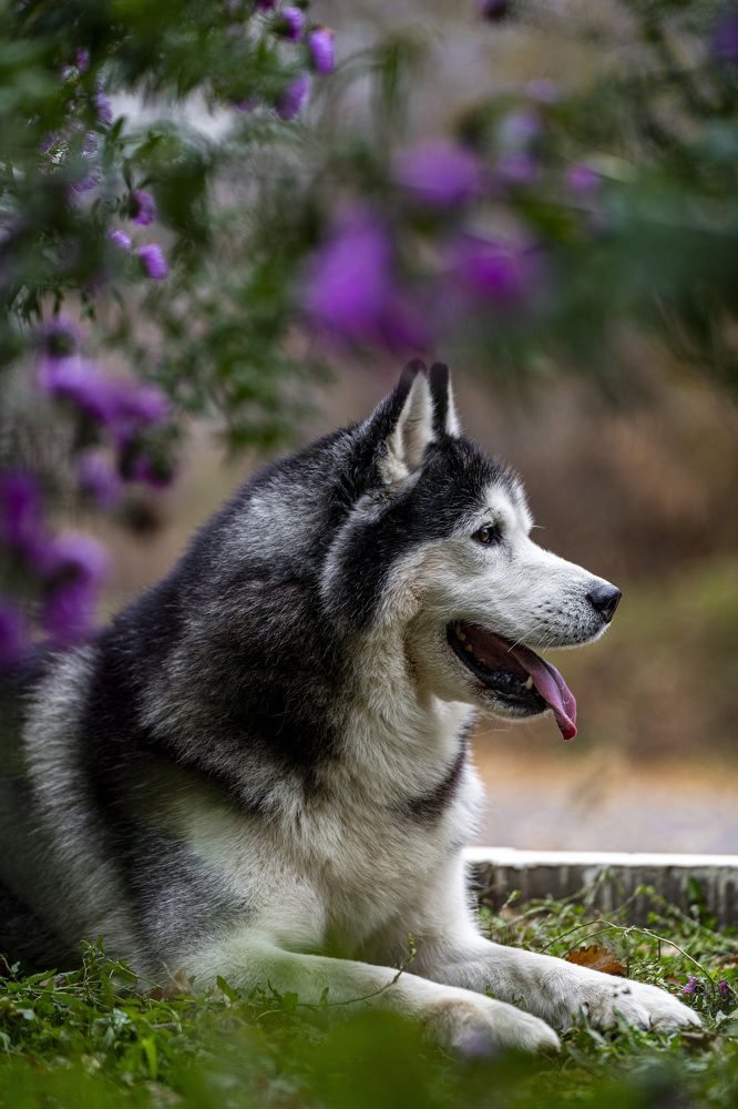 Photograph by Сергей