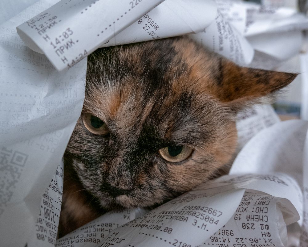 Photograph by Elvira Magsumova