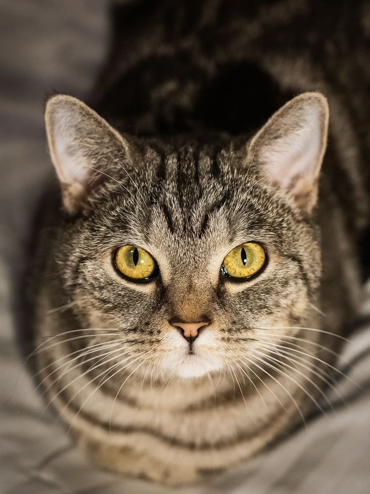 Photograph by Elena Podchishchaeva