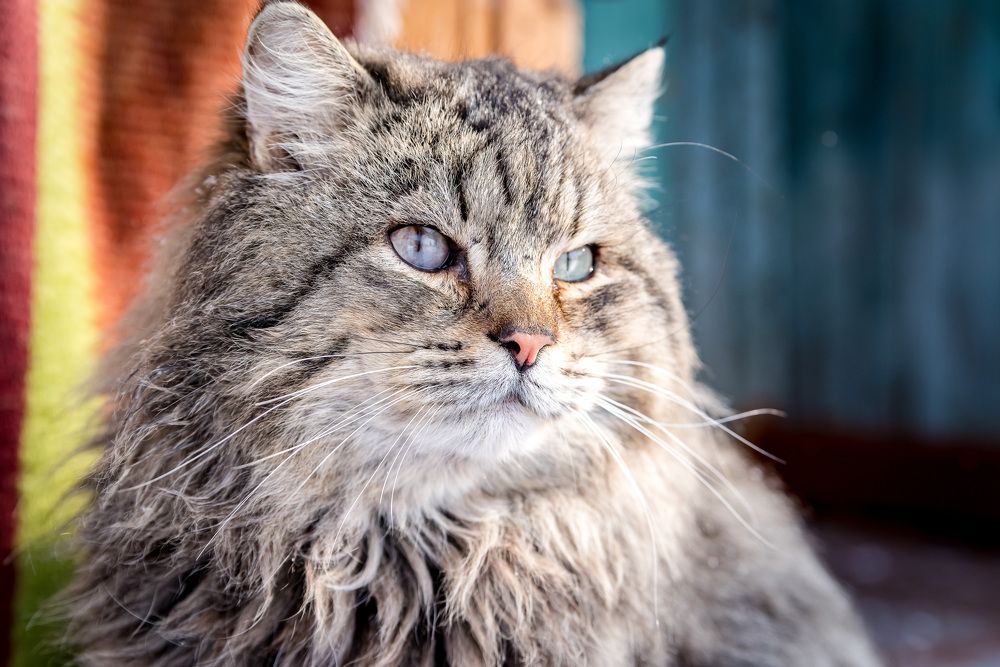 Photograph by Сергей Пашнов