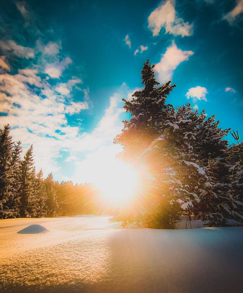 Photograph by Николай Яковлев