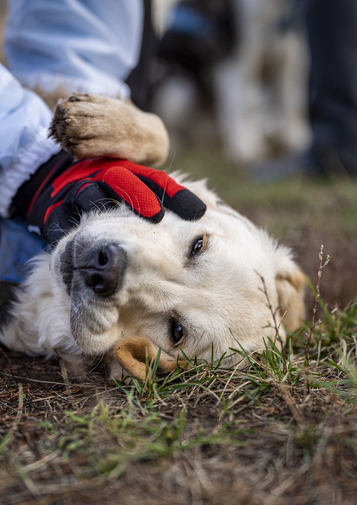 Photograph by Сергей Свобода
