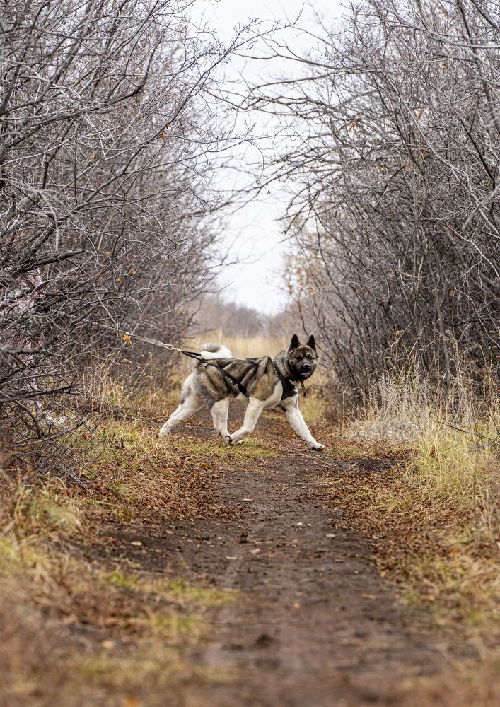 Photograph by Сергей Свобода