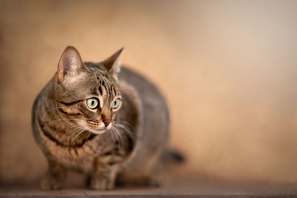 Фотография автора Ana Sánchez