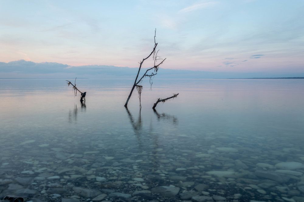 Photograph by Сергей Купчиков