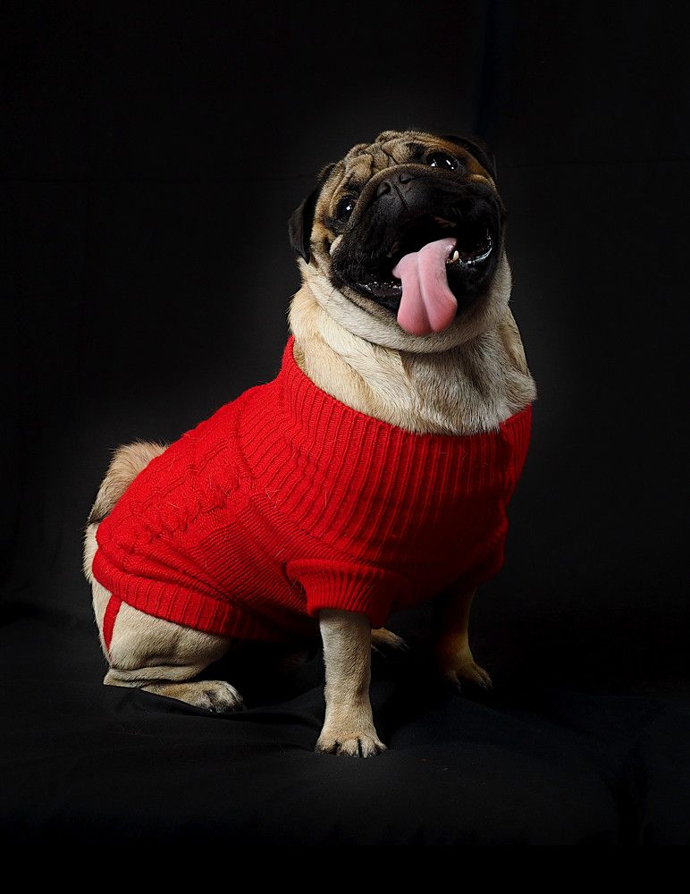 Photograph by Ilias Kapsomenakis