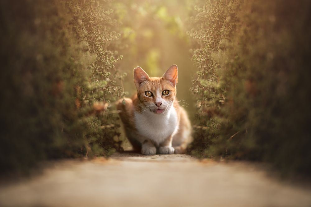 Фотография автора Ana Sánchez