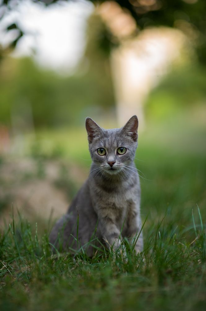 Photograph by IGOR Херуимов