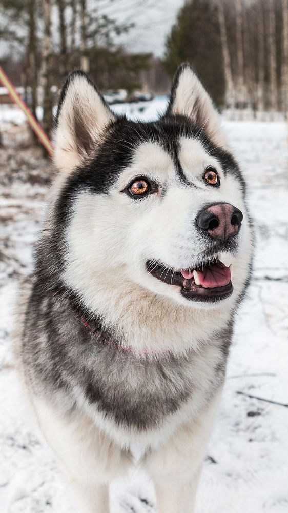 Photograph by Сергей Малинкин