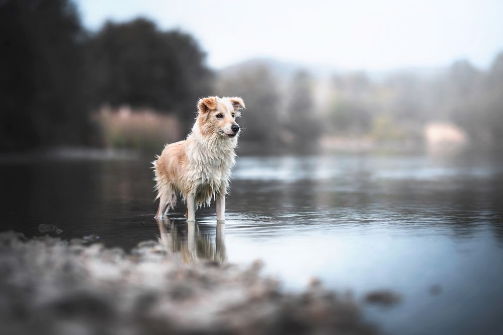 Фотография автора Ana Sánchez