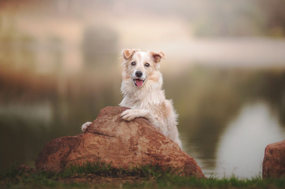 Фотография автора Ana Sánchez