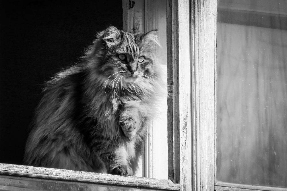 Photograph by Ольга Тюрина