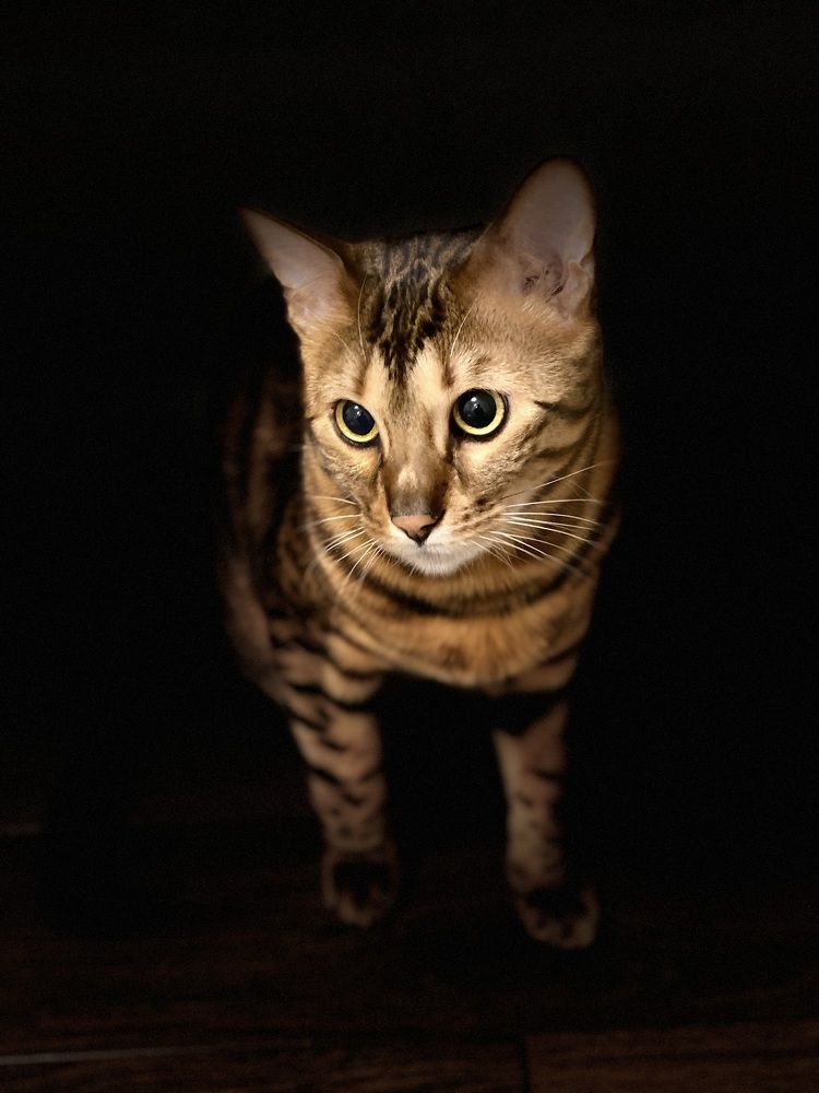 Photograph by Анна Шанёва