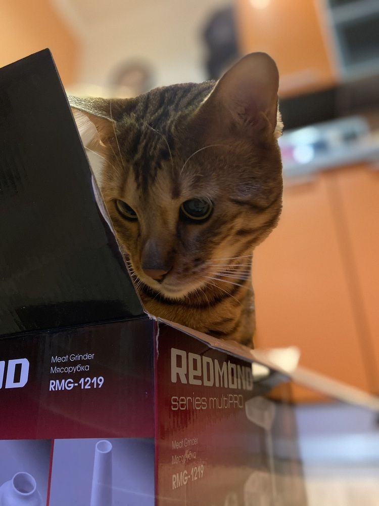 Photograph by Анна Шанёва