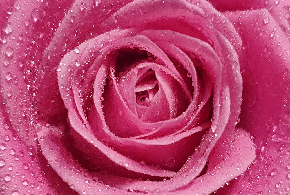 Photograph by Андрей Вахрушев