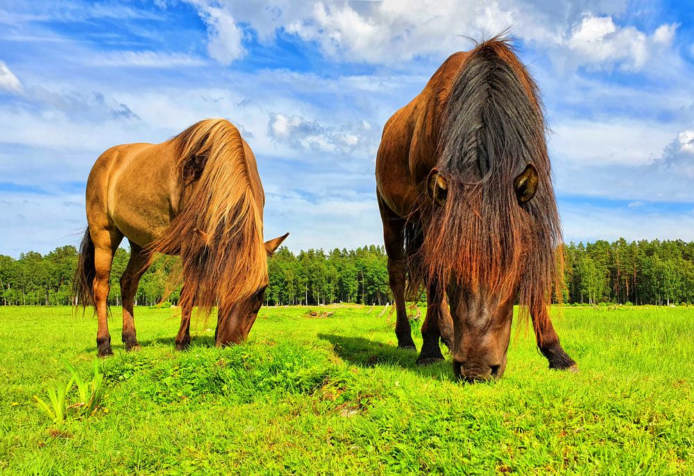 Photograph by Андрей Вахрушев
