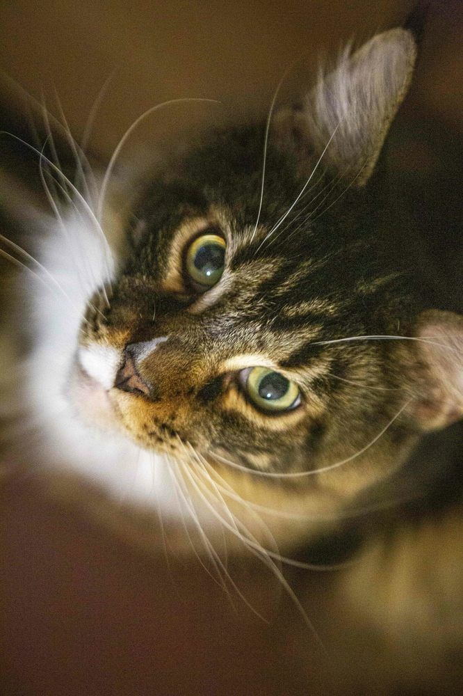 Photograph by Мария aka Марка Ферзь Шевцова