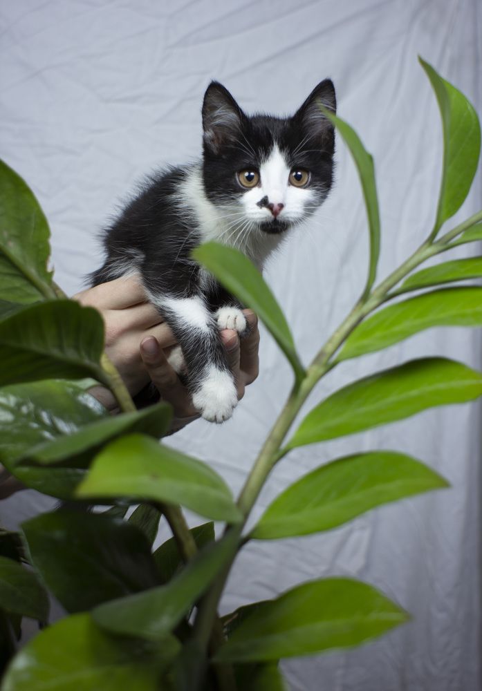 Photograph by Алёна Дёмочкина