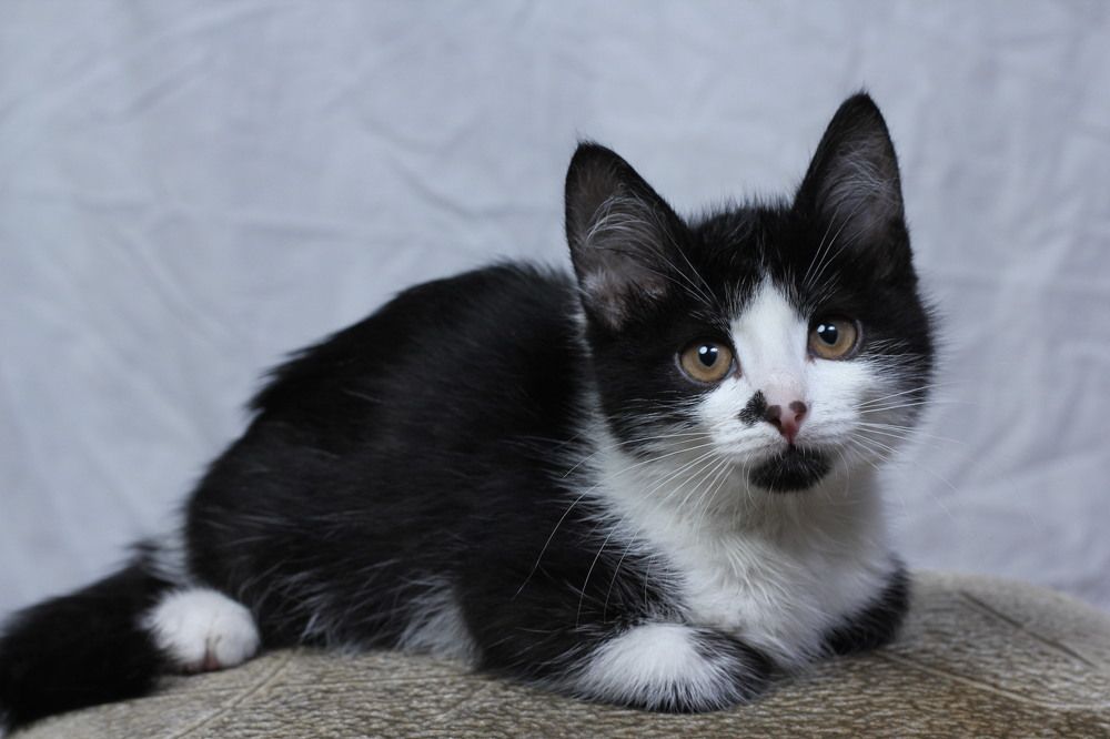 Photograph by Алёна Дёмочкина